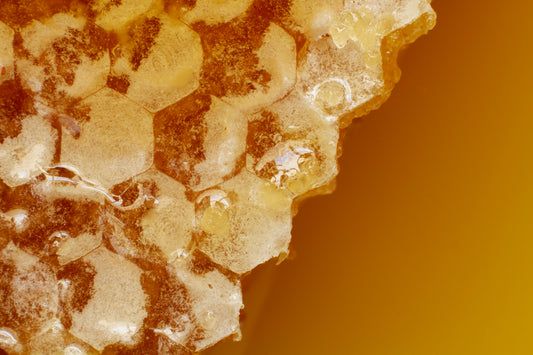 Raw Honey for Immunity: Health Benefits