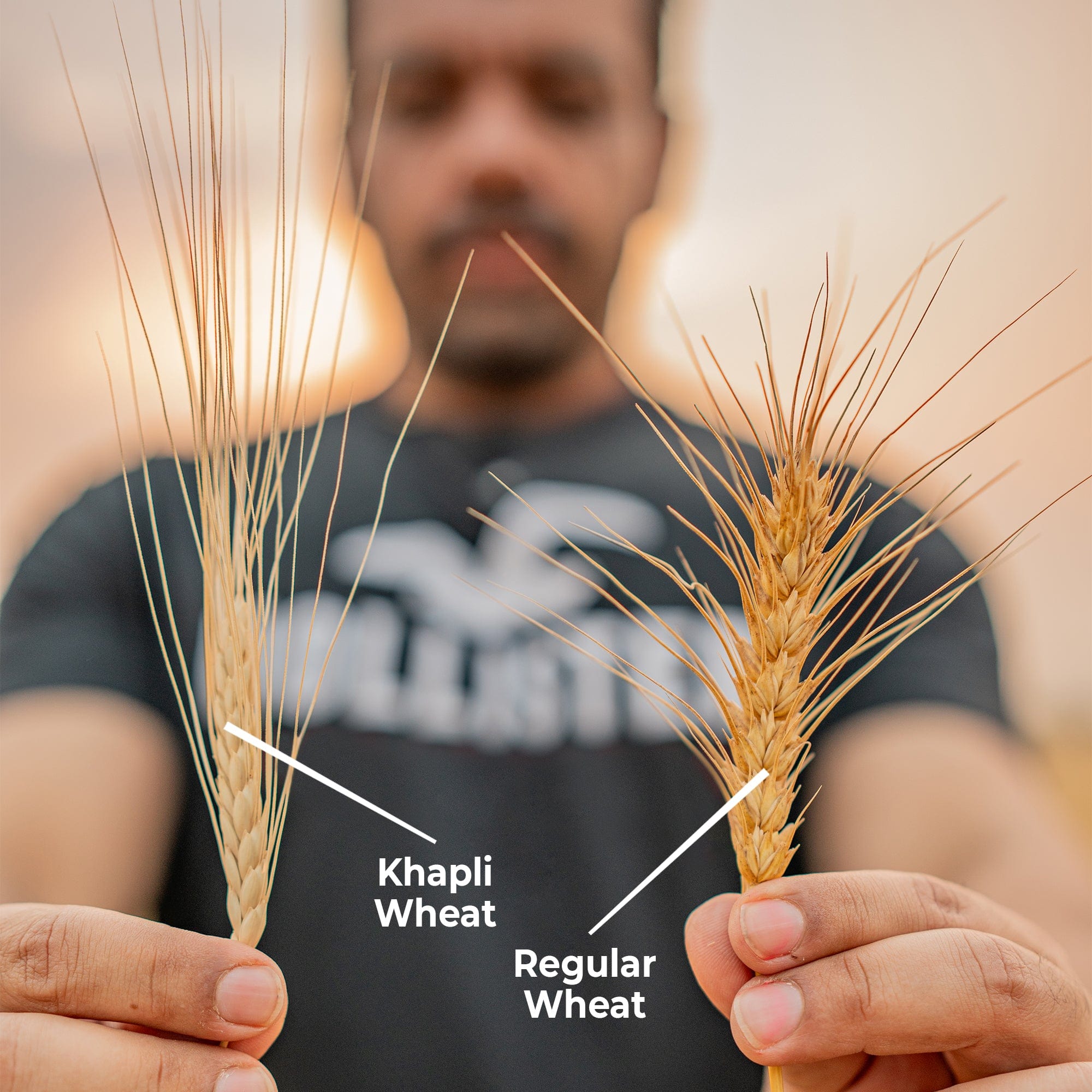Rosier Foods Khapli (Emmer) Wheat Atta