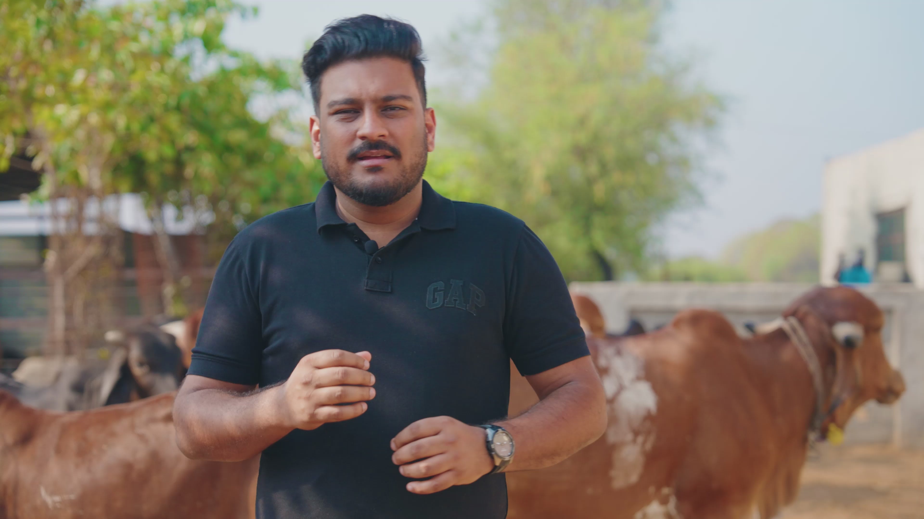 Gir Cow A2 ghee - Made From Curd (1 Ltr)