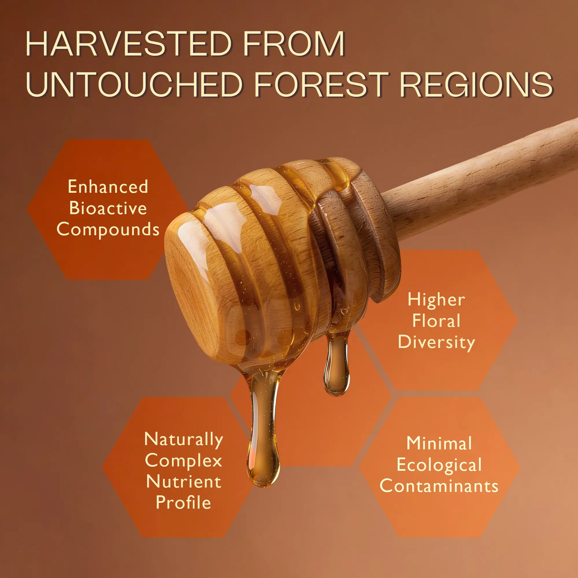 Pure & Organic Wild Forest Honey – Raw Himalayan Multi-Floral Honey – 100% Natural & Ayurvedic – No Added Sugar – Natural Sweetener – Immunity Booster & Cough Relief 500g