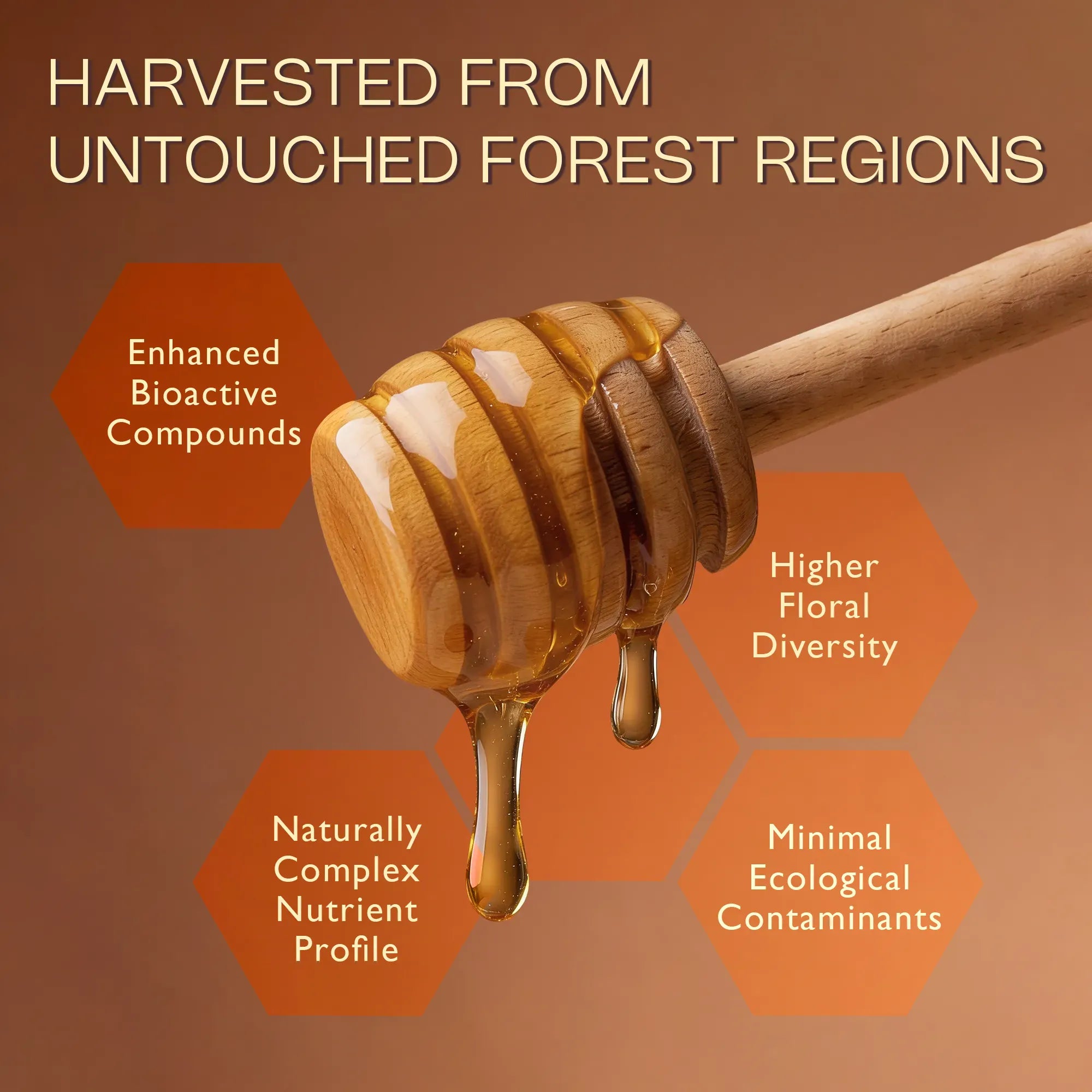 Pure & Organic Wild Forest Honey – Raw Himalayan Multi-Floral Honey – 100% Natural & Ayurvedic – No Added Sugar – Natural Sweetener – Immunity Booster & Cough Relief 500g
