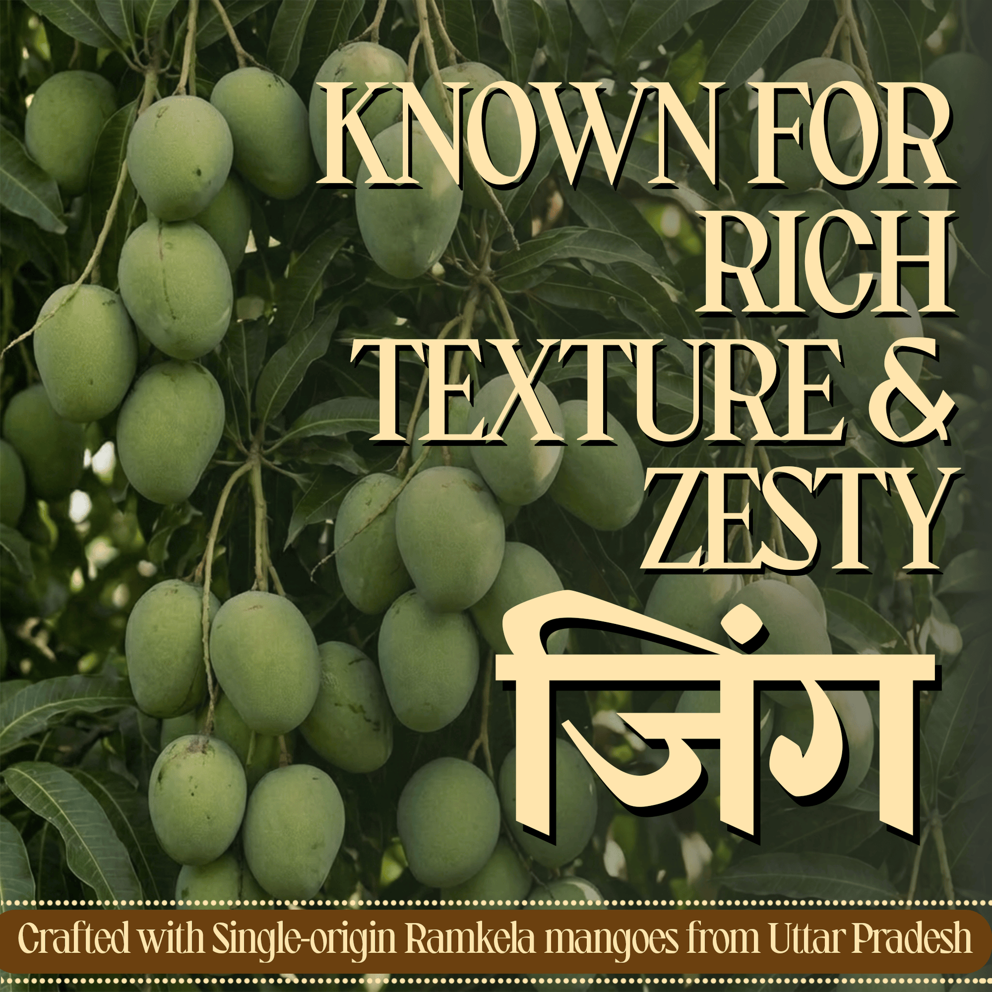 Mango Pickle - Natural Sun Dried 300 Gms