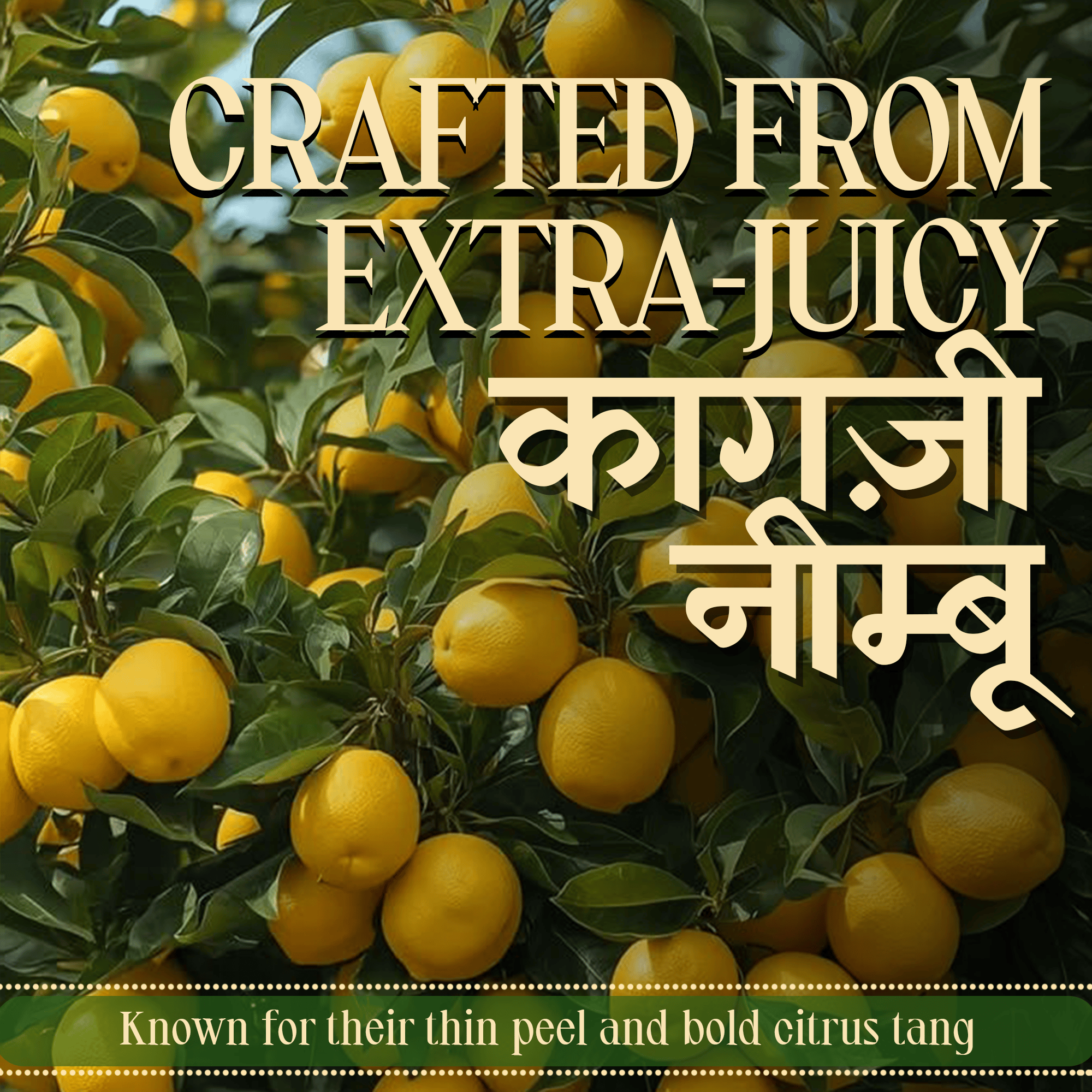 Sweet Lemon Pickle - Khatta Meetha Nimbu Ka Achar - Traditional Homemade Indian Pickle – Natural Ingredients – 300g Glass Jar - No Artificial Preservatives 300 Gms